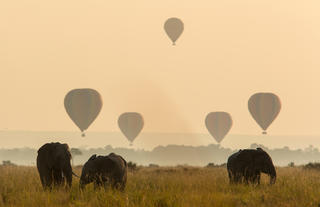Hot Air Ballooning over the Mara