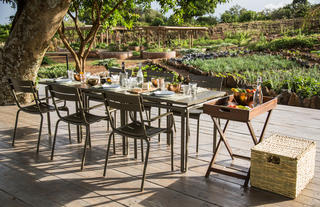 Garden-to-Table Lunch in the Shamba