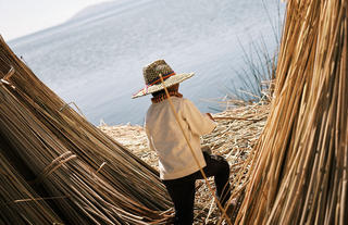 Excursiones y Actividades