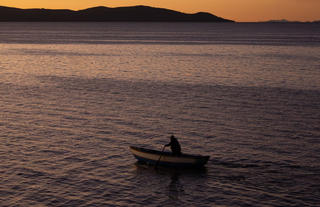 Excursiones y Actividades