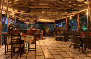 Ara Macaw Restaurant 