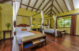 Luxury Rooms 