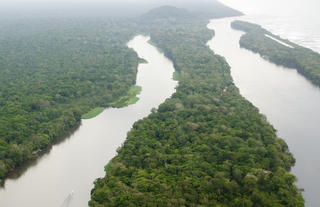 Tortuguero Canals