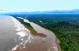 Natural Beauty of Tortuguero