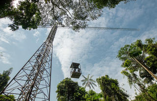 Canopy Exploration Crane