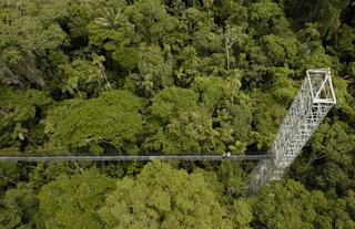 Canopy Walk