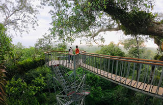 Kapok Tower