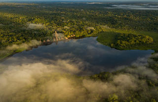 Drone View 