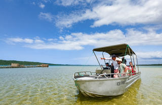 Boat trips on Kosi Lakes