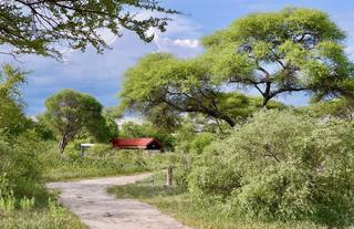 One Of Our Tents In The Bush