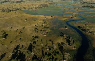 Mokolwane landscape
