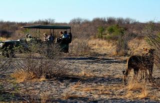 Parc National de Nxai Pan