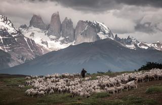 Estancia Cerro Guido