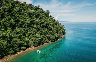 Puerto Jimenez- Golfo Dulce - Snorkelling 