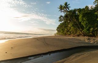 Sandy Beaches Osa Peninsula