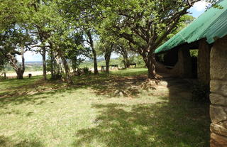 Campsite area