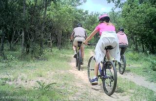 Cycling around the property