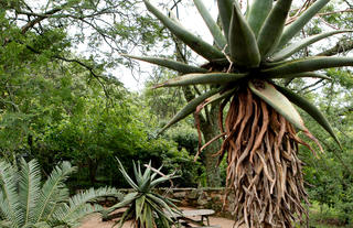 Down Gran's Self-Catering Cottage - Reilly's Rock, Mlilwane Wildlife Sanctuary