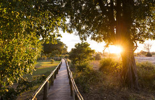 Amanzi Walkway