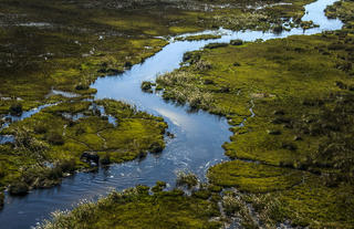 Channels of the Okavango Delta near Duba Explorers