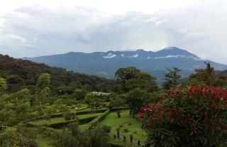 View from the Lodge