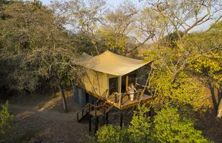 Luxury Treehouse Tent