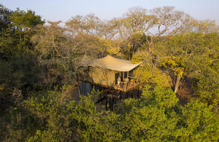 Luxury treehouse Tent