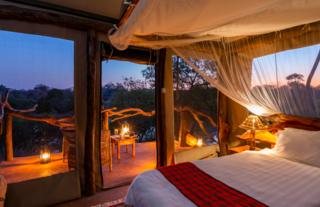 Treehouse Tent in the evening