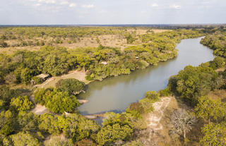 Fig Tree Bush Camp