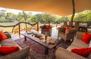 Fig Tree Bush Camp - Lounge & Dining