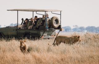 Game Drive - Busanga Plains