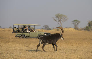Game Drive