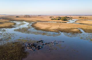 Busanga Plains