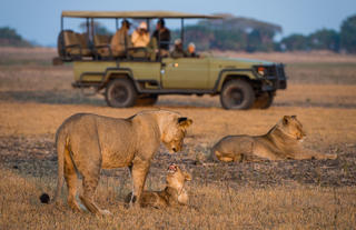 Game Drive 