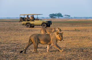 Game Drive 