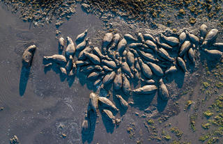 View of Hippo pod in front of camp