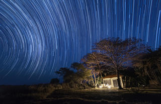 Busanga Plains Camp - tent exterior