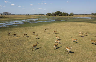 Busanga Plains Camp