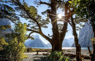 Fiordland Lodge