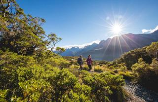 Fiordland Lodge