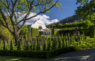 The Wine Studio