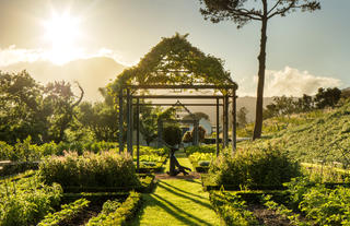Leeu Estates - Herb Garden