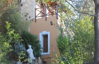 tranquil garden with lush vegetation