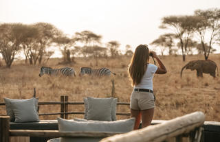 Animal spotting from Firepit area