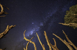 Stargazing