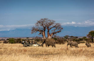 Game Drives in our private concession