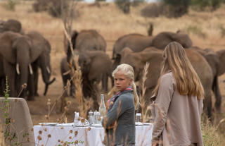 Waterhole viewing 