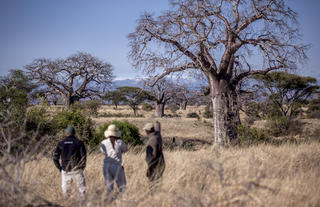 Walking safari