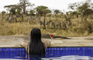 Pool overlooking the waterhole