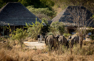 Waterhole infront of the main area 